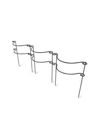  || https://assets.gardeners.com/transform/40a29131-58b0-4f14-ba84-0b6df0583253/8614371_10489