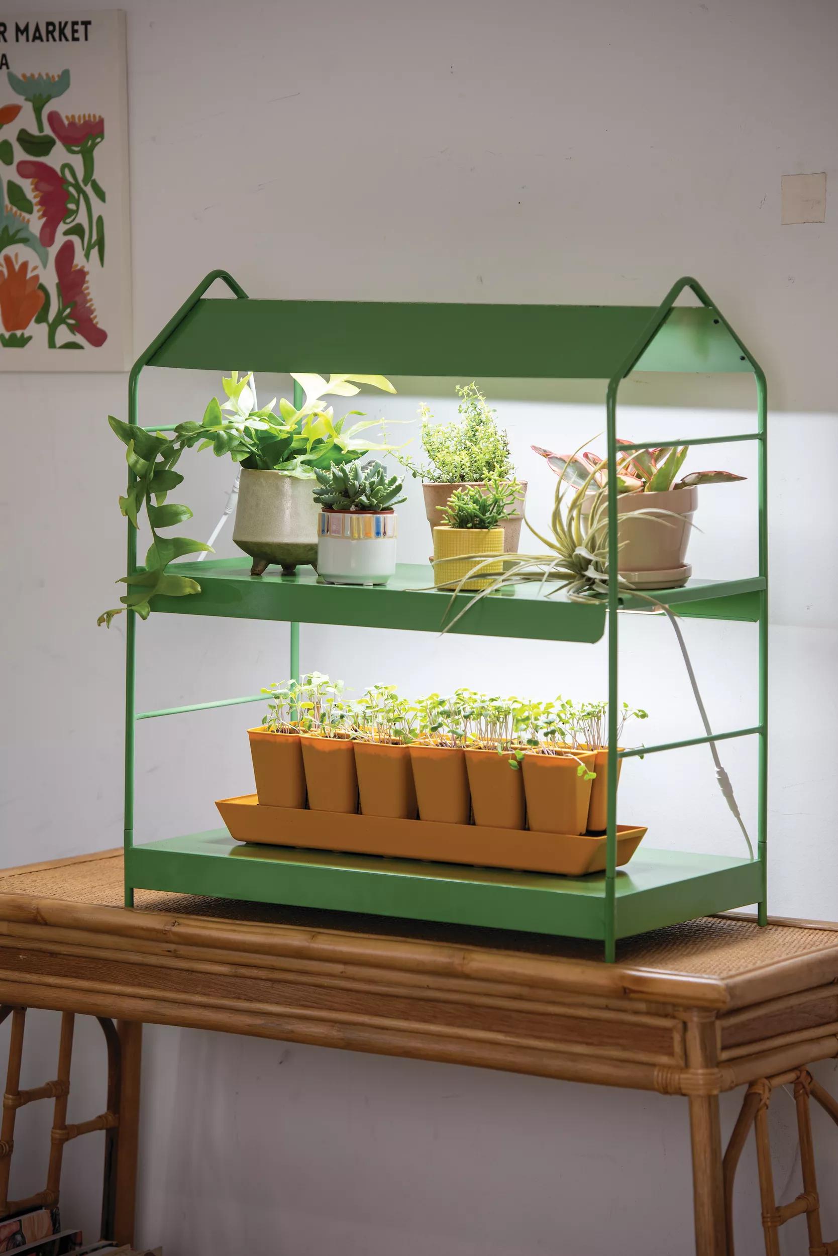 tabletop plant stands indoor Agie LED Light Garden