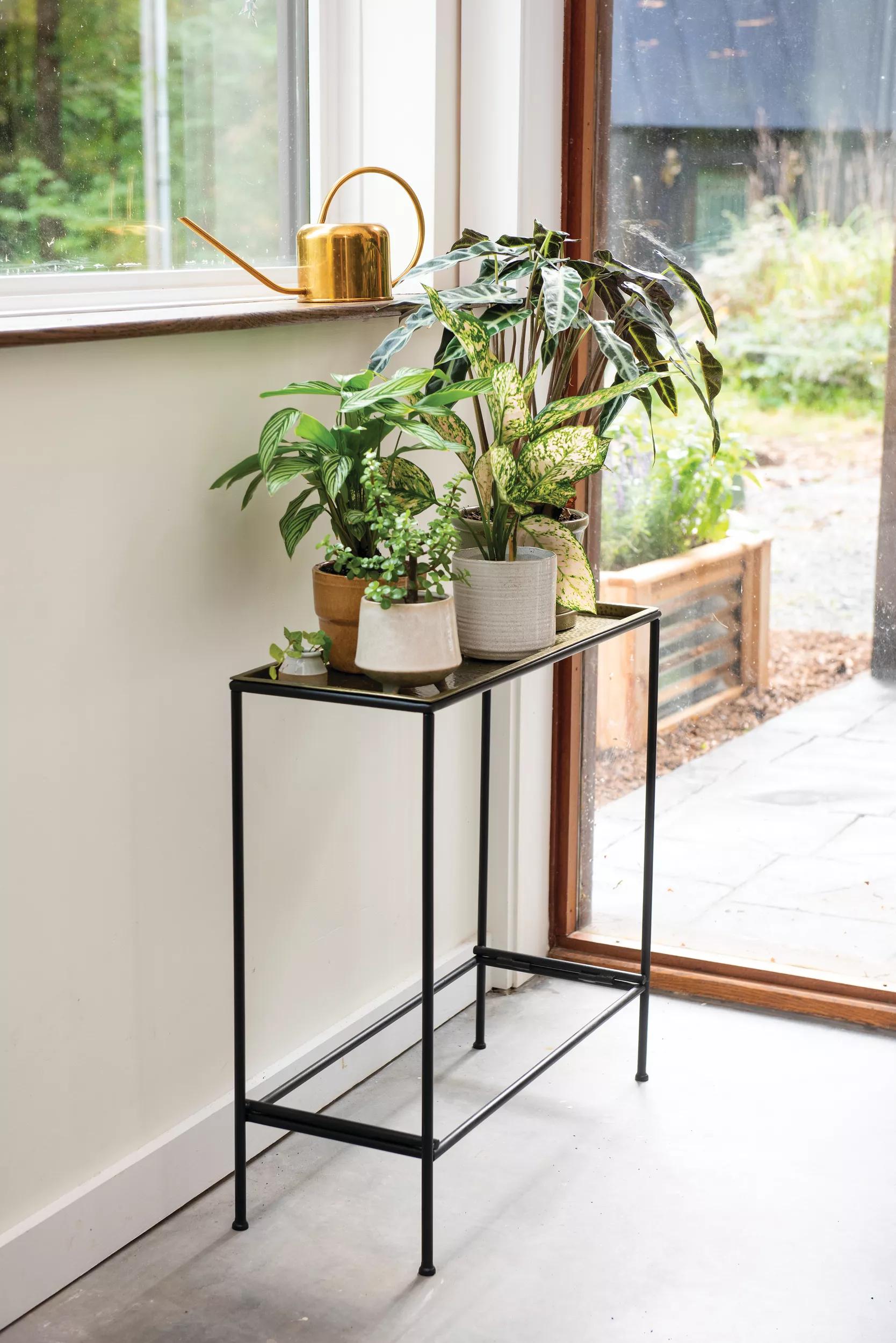 black plant stand indoor Sleek & Slender Plant Stand Side Table