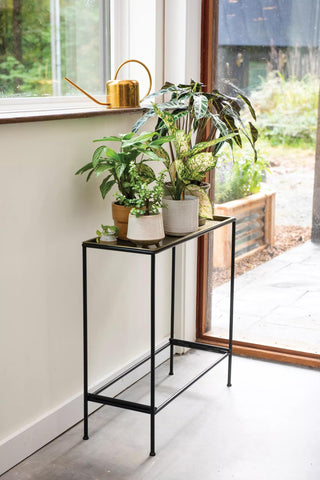  || https://assets.gardeners.com/transform/e8f2fd83-0da3-43d5-809e-e1348312c51b/8614413_0118_sleek-and-slender-plant-stand-side-table