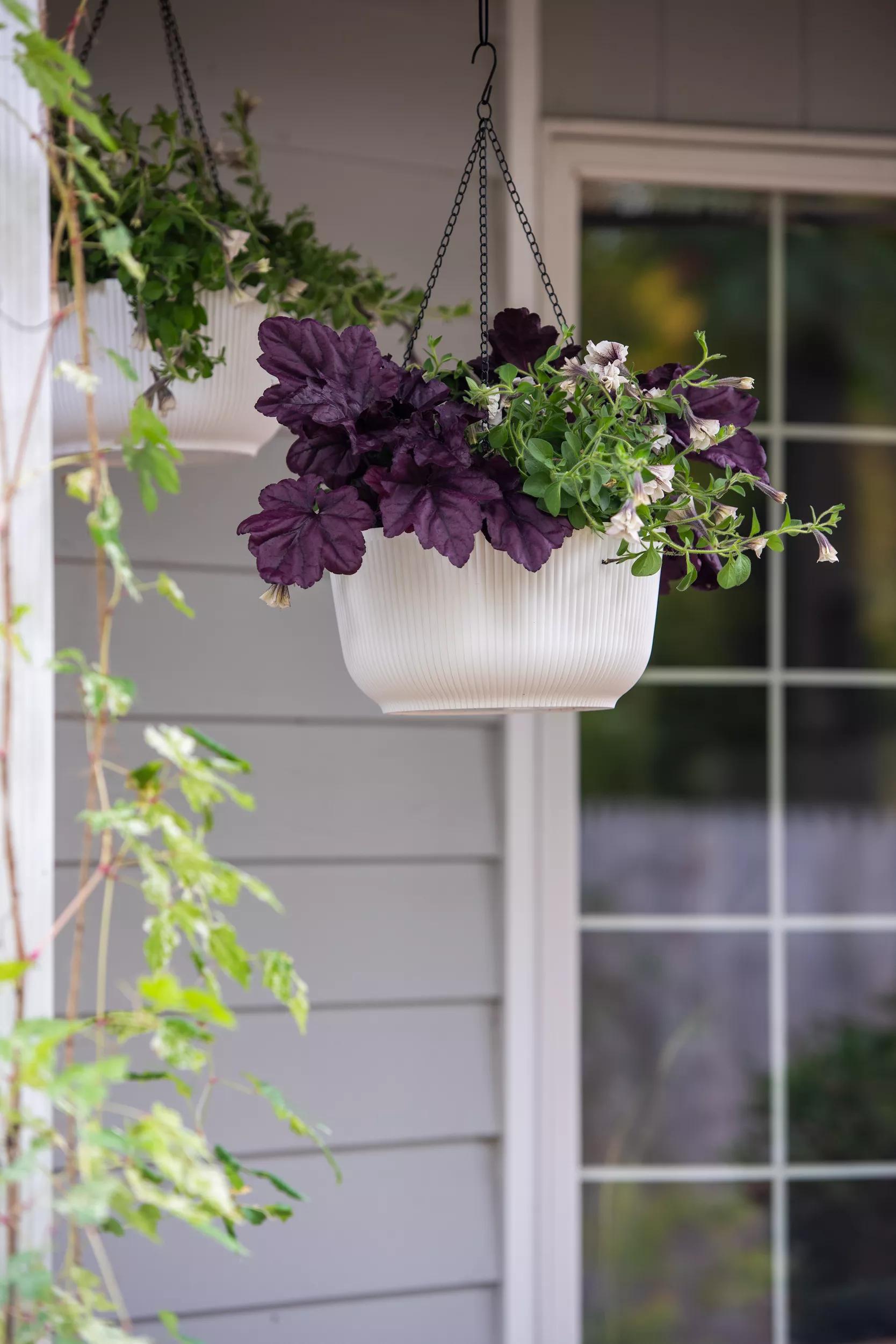 self watering hanging baskets for plants Self-Watering Ribbed Hanging Basket, 11", Set of 2