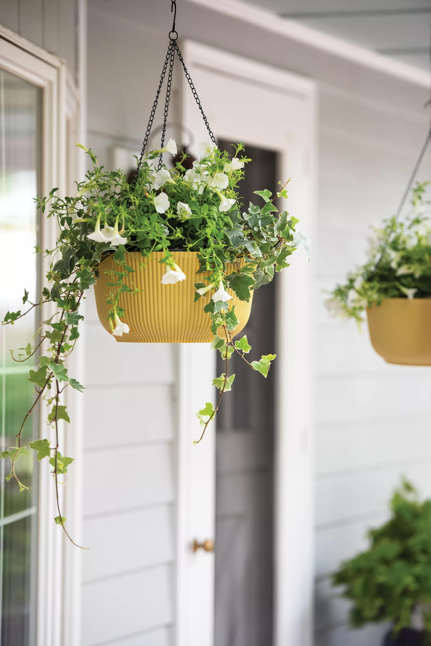 baskets for plants indoors Self-Watering Ribbed Hanging Basket, 11"
