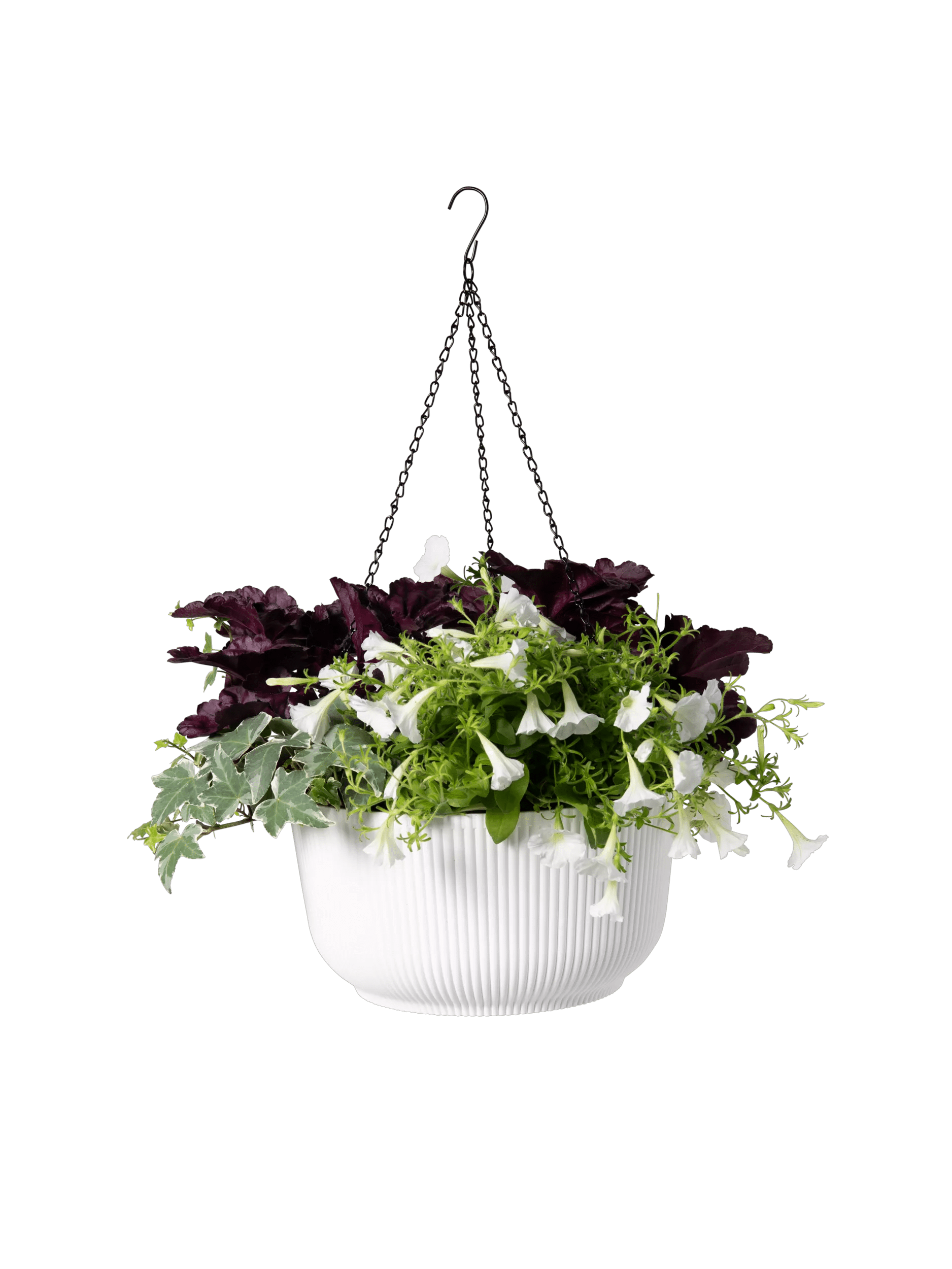 hanging planter set Self-Watering Ribbed Hanging Basket, 11"