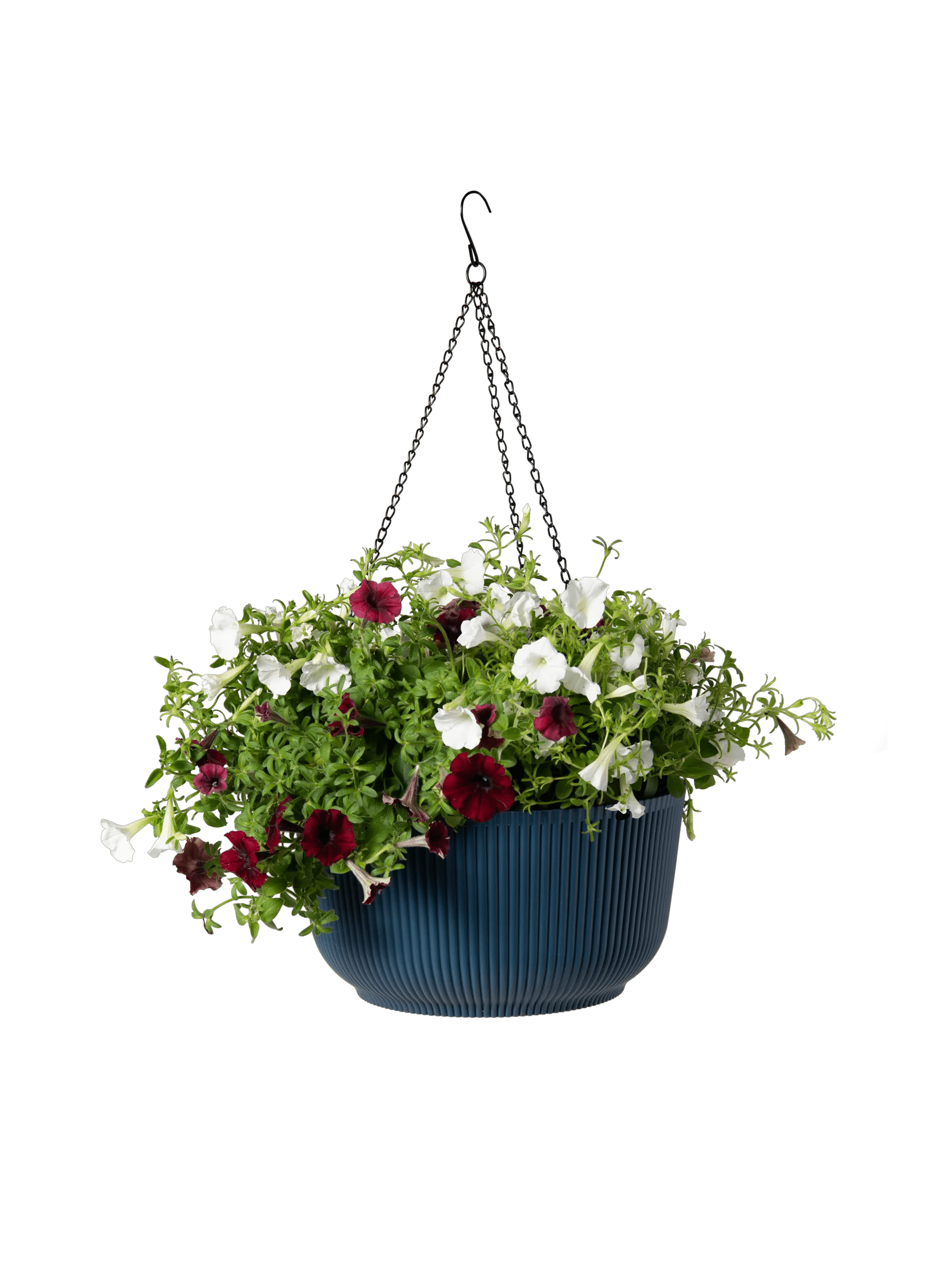 self watering system for hanging plants Self-Watering Ribbed Hanging Basket, 11"