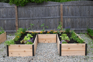  || https://assets.gardeners.com/transform/6471ea84-b780-4b4e-95e1-707a1c72b813/8614500_8380