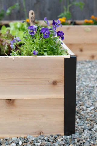 || https://assets.gardeners.com/transform/c3bf92aa-e5ba-44d8-9451-594cf369e300/8614500_8387