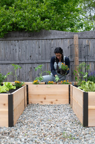  || https://assets.gardeners.com/transform/04f1f47c-4437-4923-afc5-b4f65dab1589/8614500_8399