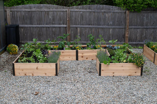  || https://assets.gardeners.com/transform/80222382-3e66-45ec-9538-a5604bfe81ca/8614501_5840