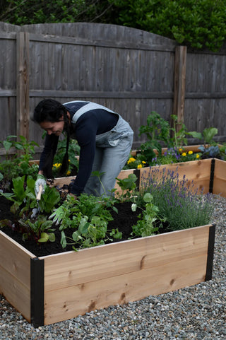  || https://assets.gardeners.com/transform/34b111f9-ccf7-4982-af9c-5e4ecf23a44a/8614501_5856
