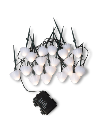  || https://assets.gardeners.com/transform/5abdbe33-e166-46ae-b113-bdf467e16c53/8614529_11584