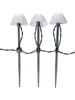  || https://assets.gardeners.com/transform/29452320-8a5a-41af-b4cc-998899ee9c36/8614529_11589