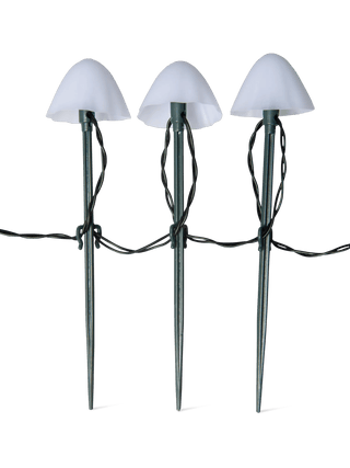  || https://assets.gardeners.com/transform/669c3e6e-3605-4607-a526-2cb71eba6a03/8614529_11590