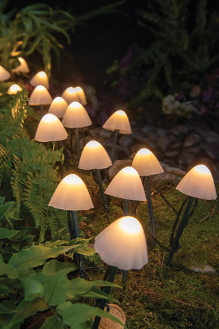  || https://assets.gardeners.com/transform/964f9834-a6a0-46b8-9fd3-eb7925153638/8614529_343_tiny-mushroom-stake-lights