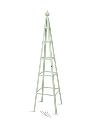  || https://assets.gardeners.com/transform/13a1be2e-e6f8-4d9f-9d89-fff464b23bd1/8614537_11523