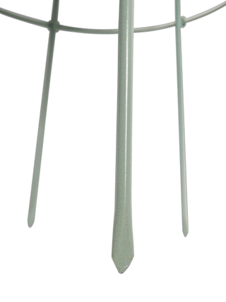  || https://assets.gardeners.com/transform/d3c1e148-6c0e-472e-80a9-b855bbc28f57/8614541_11547