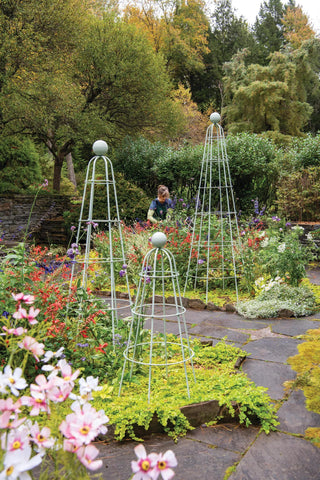  || https://assets.gardeners.com/transform/0ac91ff1-9982-41ff-a3a4-017c91203fa1/8614543_0004