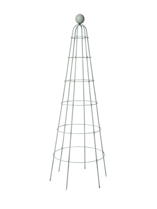  || https://assets.gardeners.com/transform/da266497-d542-413e-a979-f5a2cfd465de/8614543_11541