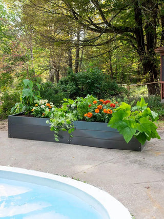  || https://assets.gardeners.com/transform/c6bbd92f-ef13-48fc-ad0b-e4e93854fa3b/8614551_0175_crop_putnam-metal-raised-bed-24-x-90