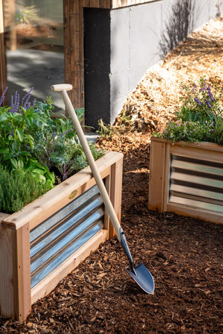  || https://assets.gardeners.com/transform/09148778-ba6d-40ee-b662-5cba6b340a66/8614554_0116