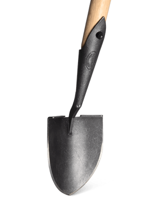  || https://assets.gardeners.com/transform/ff6ba3c5-c92b-411b-8d12-7514fe8cbc18/8614554_11538