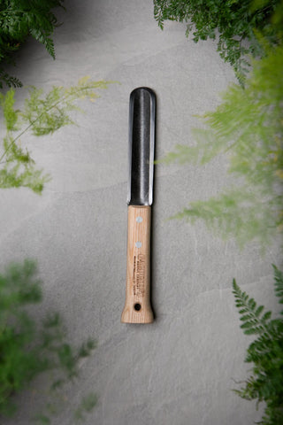 || https://assets.gardeners.com/transform/3ec8c5a1-ce60-4e1f-bb81-bacd41675b76/8614555_5880