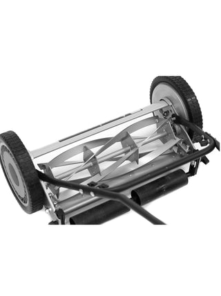  || https://assets.gardeners.com/transform/3d54b0e4-732e-4f17-a8a4-f7e627d28b2a/8614577_02V