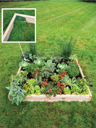  || https://assets.gardeners.com/transform/245de418-af36-4ca5-ab3e-50c7b1868e84/8614585_6