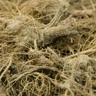  || https://assets.gardeners.com/transform/5624efad-cb61-4faa-8063-64bb2f4db9aa/8615074_07V