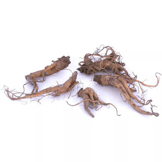  || https://assets.gardeners.com/transform/488ce868-f4d2-4469-aba7-eef9d7977b4e/8615082_01V