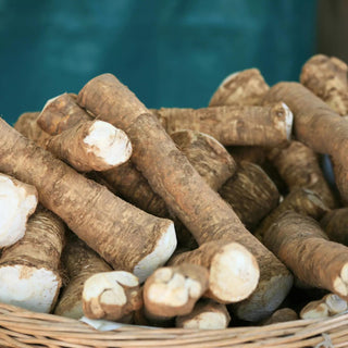  || https://assets.gardeners.com/transform/81f173f3-f5f5-44d2-bcce-169441d1e167/8615083_03V_horseradish-5-plants