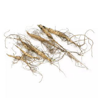  || https://assets.gardeners.com/transform/7fc7f857-7955-41e1-9394-1dbf64af0829/8615091_03V