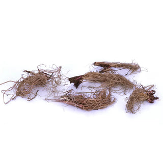  || https://assets.gardeners.com/transform/2ddd9a14-2532-4d29-9a57-ef44bf1a59f5/8615115_02V