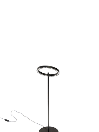 Adjustable Floor Plant Lamp
