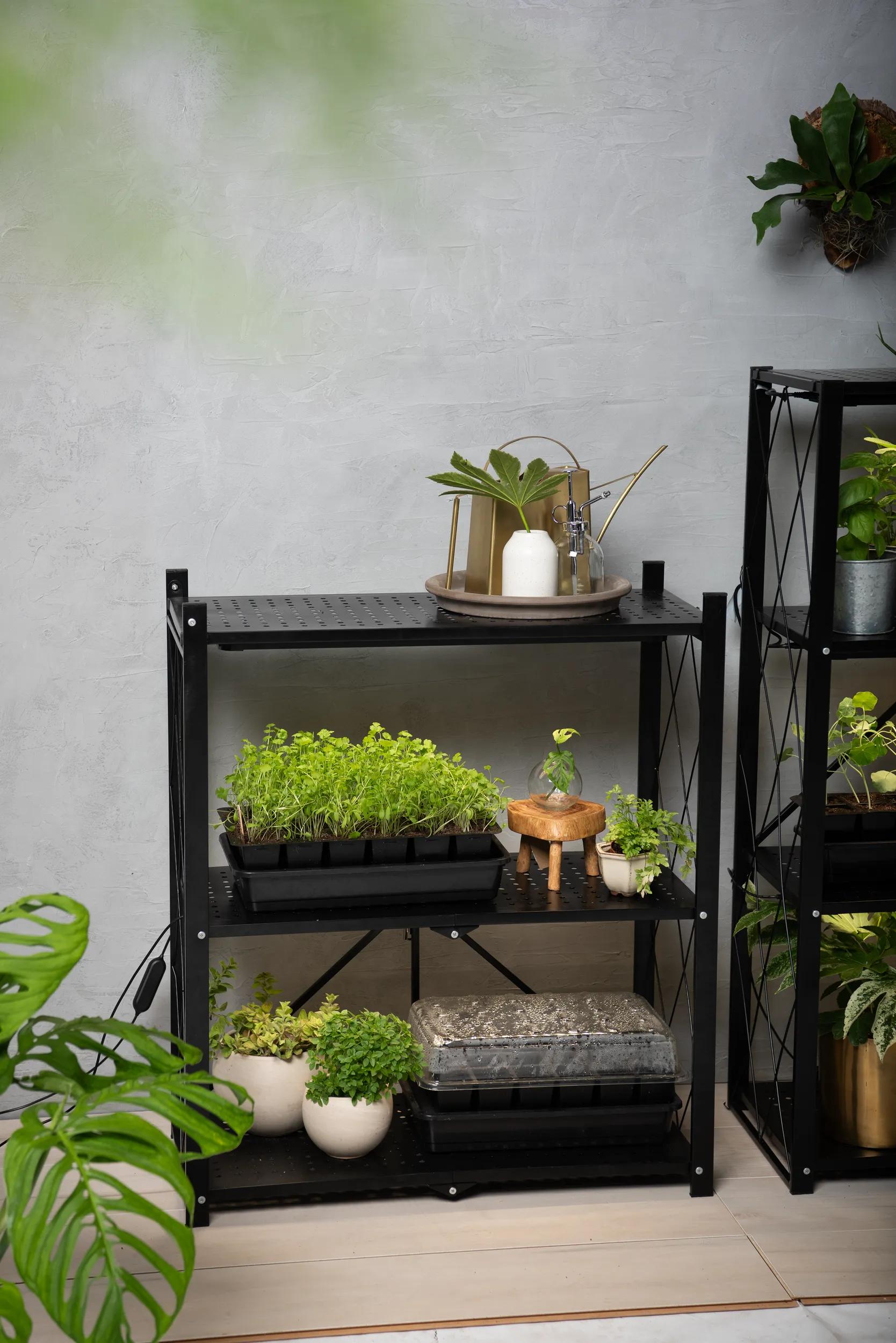 indoor tiered plant shelf Folding 2-Tier Grow Shelf with Plant Lights