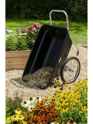  || https://assets.gardeners.com/transform/8e6a4aa6-82d2-4061-a132-8705285b8242/8615258_09V