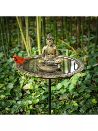  || https://assets.gardeners.com/transform/7e725f39-9e34-43c6-b349-b12f6d08d771/8615285-BUDH_01V