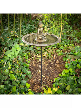  || https://assets.gardeners.com/transform/c7a1efcd-d764-47be-8d68-90bcd884668f/8615285-BUDH_02V