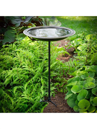  || https://assets.gardeners.com/transform/b9dac217-37d4-4478-813a-aba481467505/8615285_02V