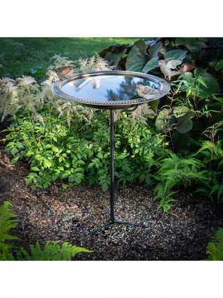  || https://assets.gardeners.com/transform/8fc64c99-5451-4c61-a8ba-c5c2480d08ef/8615285_03V