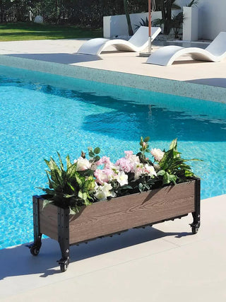  || https://assets.gardeners.com/transform/afa0f1f5-3a74-4368-896f-29a7030ec5a2/8615286_03V_3_4