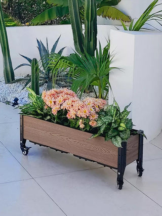  || https://assets.gardeners.com/transform/e6e80161-fedd-4b03-b956-e8edb168cde2/8615286_04V_3_4