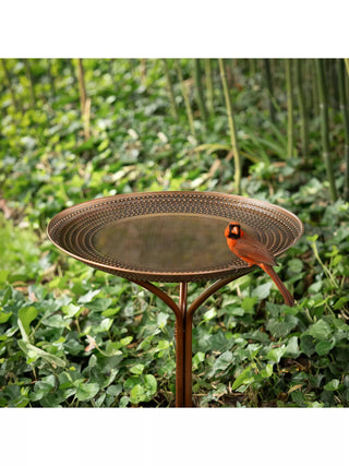  || https://assets.gardeners.com/transform/6bca8f54-12a3-4d39-846f-63b0c93db46f/8615292-BBTH_01V