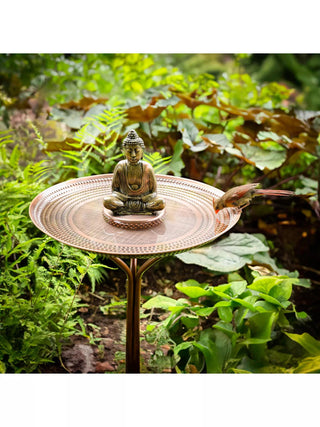  || https://assets.gardeners.com/transform/689febf0-60fd-4100-a91a-f914ad56891a/8615292-BUDH_02V
