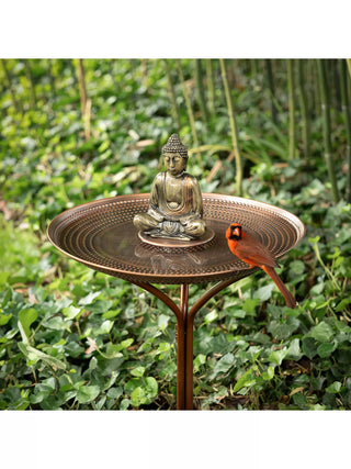  || https://assets.gardeners.com/transform/f64d7de0-1622-4da0-a0b0-196b0e026351/8615292-BUDH_03V