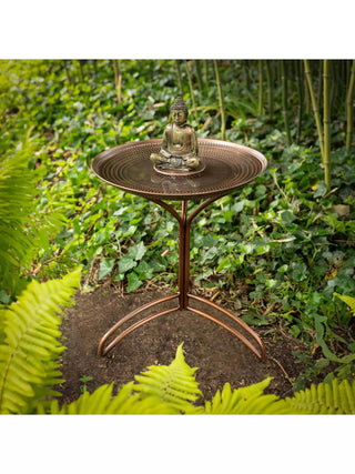  || https://assets.gardeners.com/transform/44999e43-f1e0-49fb-beeb-ff32aa61d58d/8615292-BUDH_04V