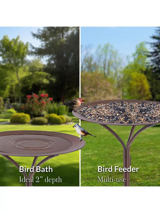  || https://assets.gardeners.com/transform/e7b5a381-d619-4bc0-b2b5-ddeb11ad8dd2/8615295_02V
