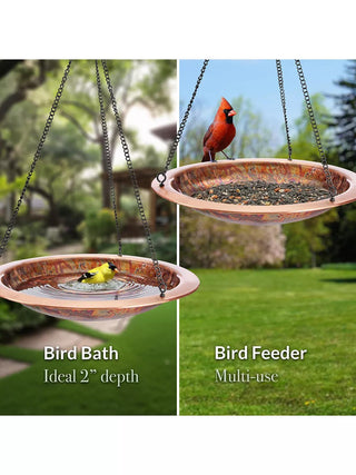  || https://assets.gardeners.com/transform/655b9a95-7b8f-45ca-850a-01c23a074507/8615297-FCPR_02V