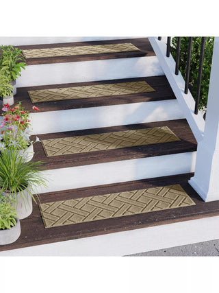  || https://assets.gardeners.com/transform/8b3b67fd-b252-42dc-82a4-3669ac556fd7/8615299_CA_02V