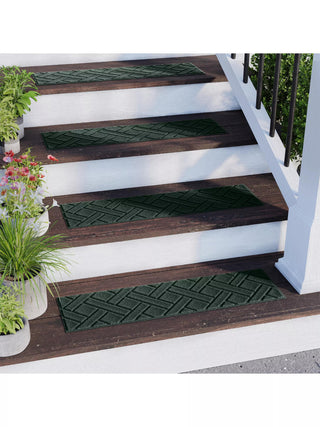  || https://assets.gardeners.com/transform/06c7d5b2-3b8a-4663-9136-34384752e8c6/8615299_EV_02V