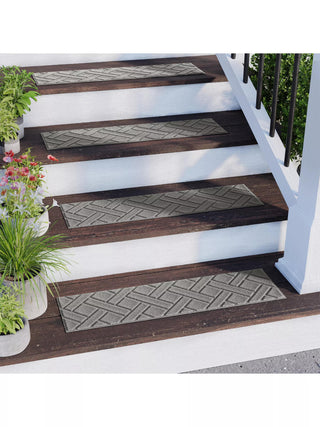  || https://assets.gardeners.com/transform/3b187bf7-67ed-4c4d-bd56-3d8dc41d61d4/8615299_GY_02V